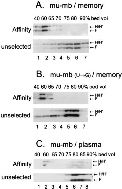 FIG. 6