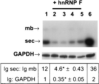 FIG. 11