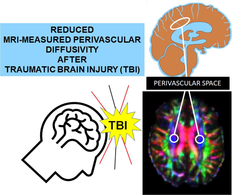 Graphical Abstract