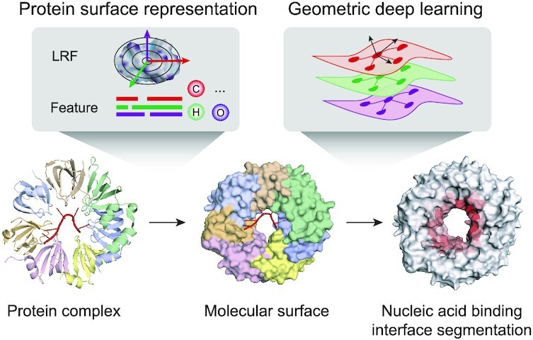 Graphical Abstract