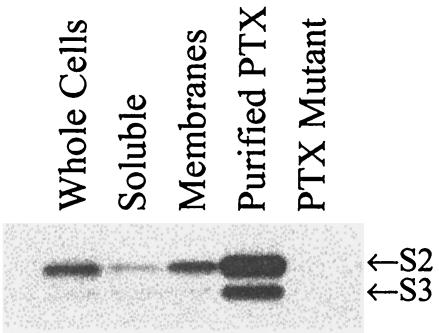 FIG. 8.