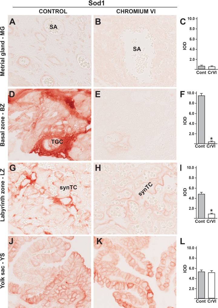 FIG. 7