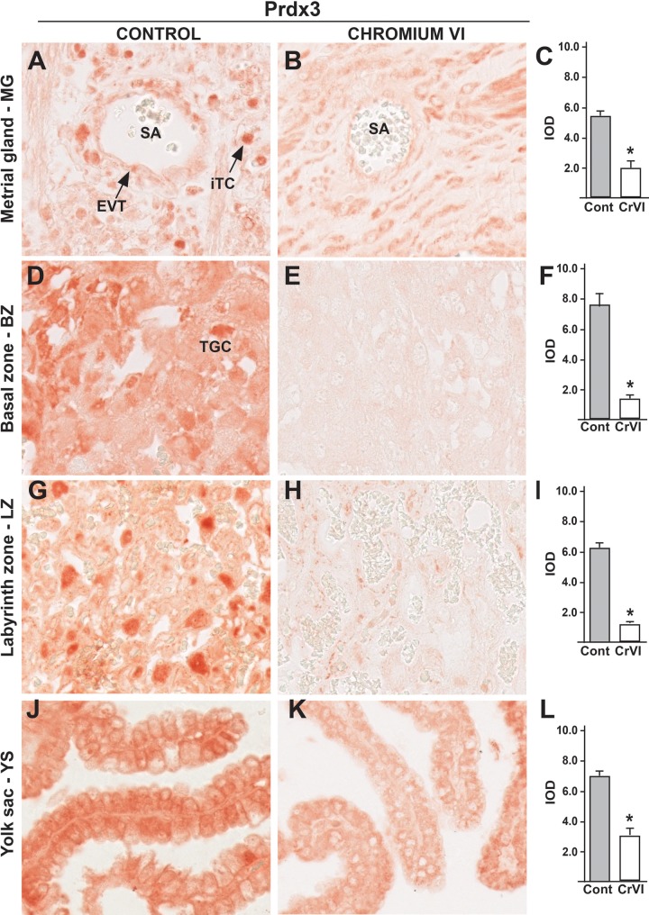 FIG. 9