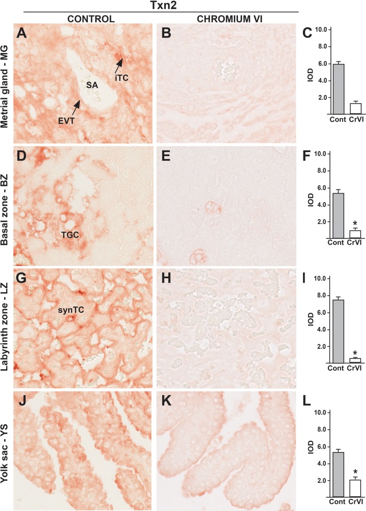 FIG. 10