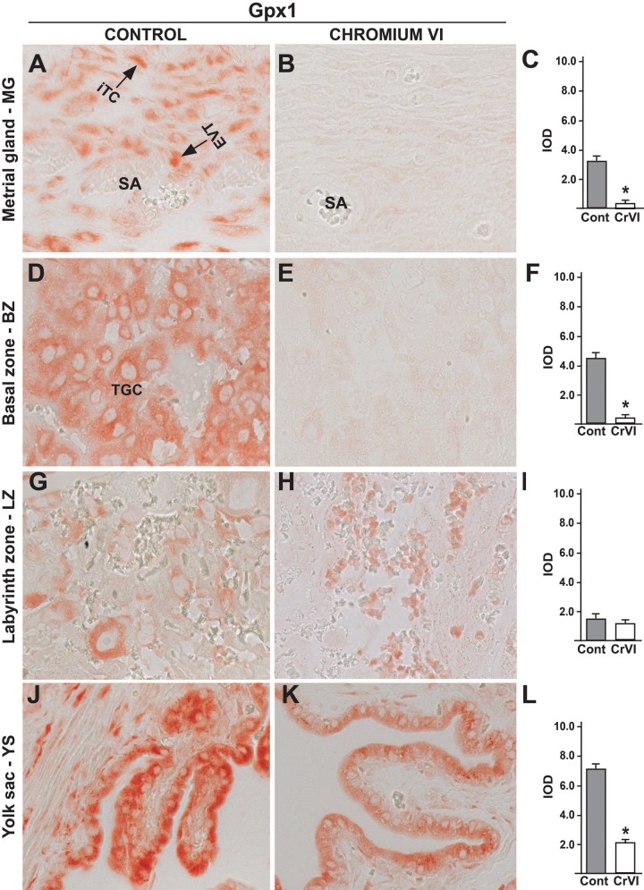 FIG. 6