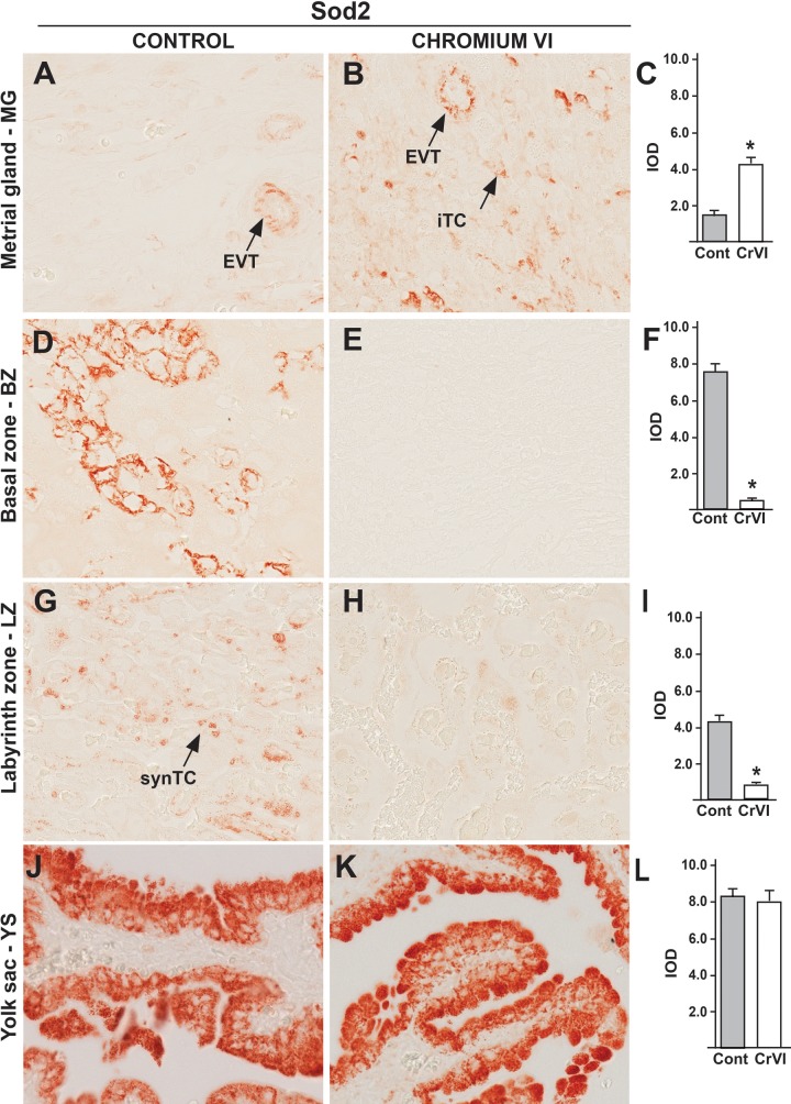 FIG. 8