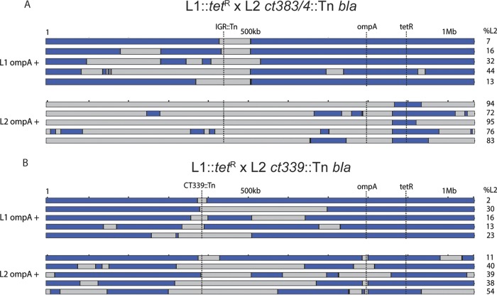 FIG 6