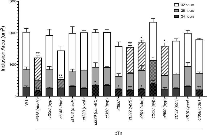 FIG 3