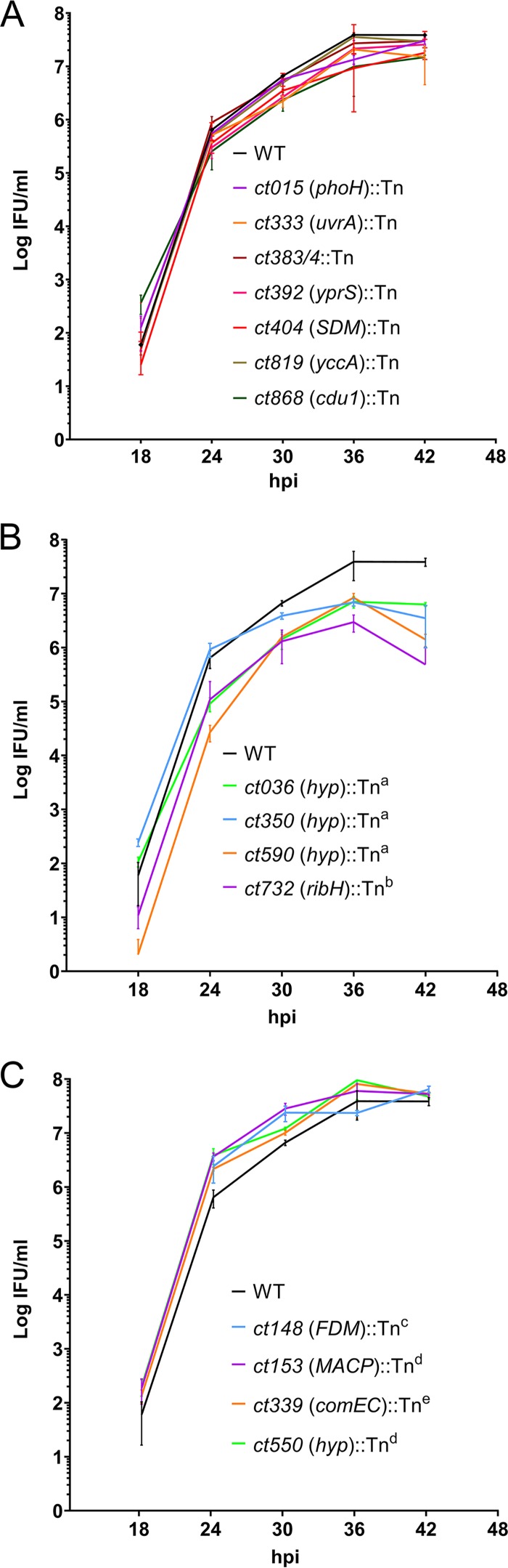 FIG 2