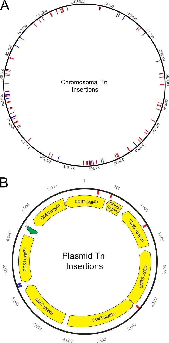 FIG 1