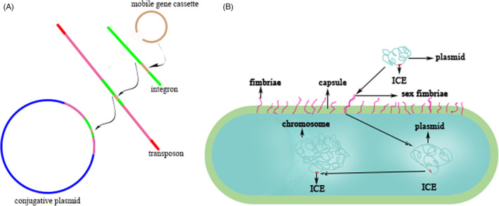 FIGURE 2