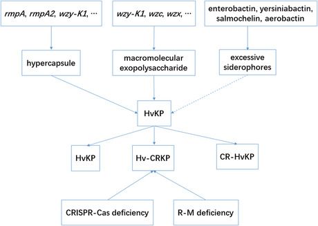 graphic file with name JCLA-36-e24743-g002.jpg