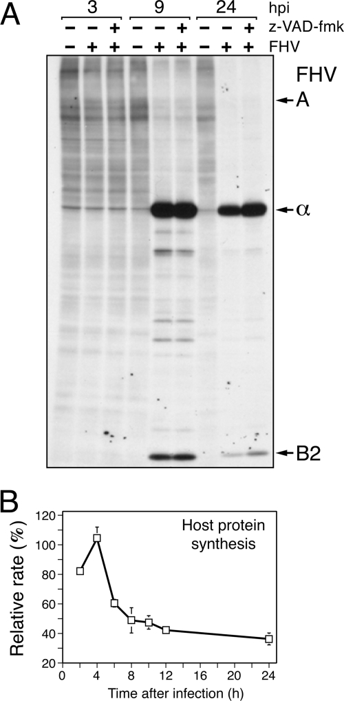 FIG. 7.