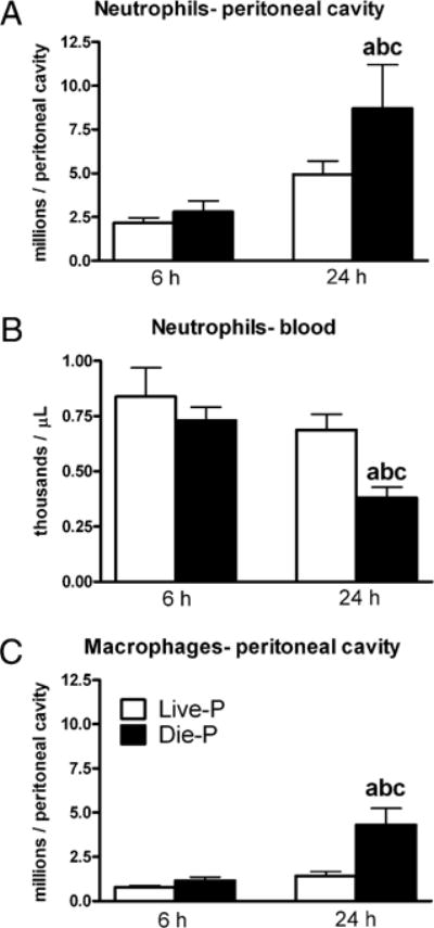 FIGURE 3