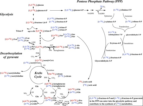 Figure 6.