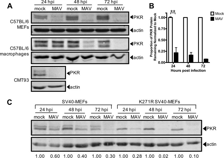 FIG 2