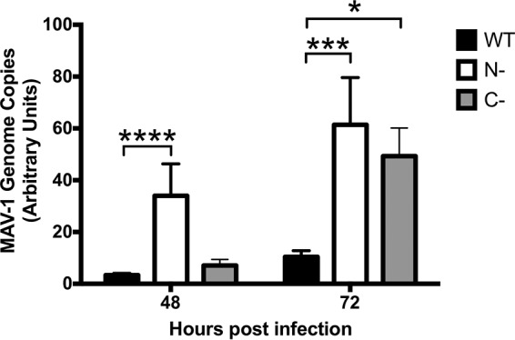 FIG 1