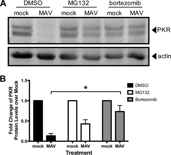 FIG 6