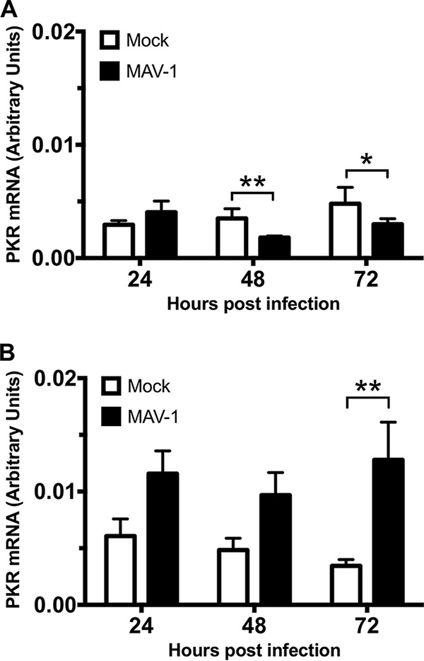 FIG 3