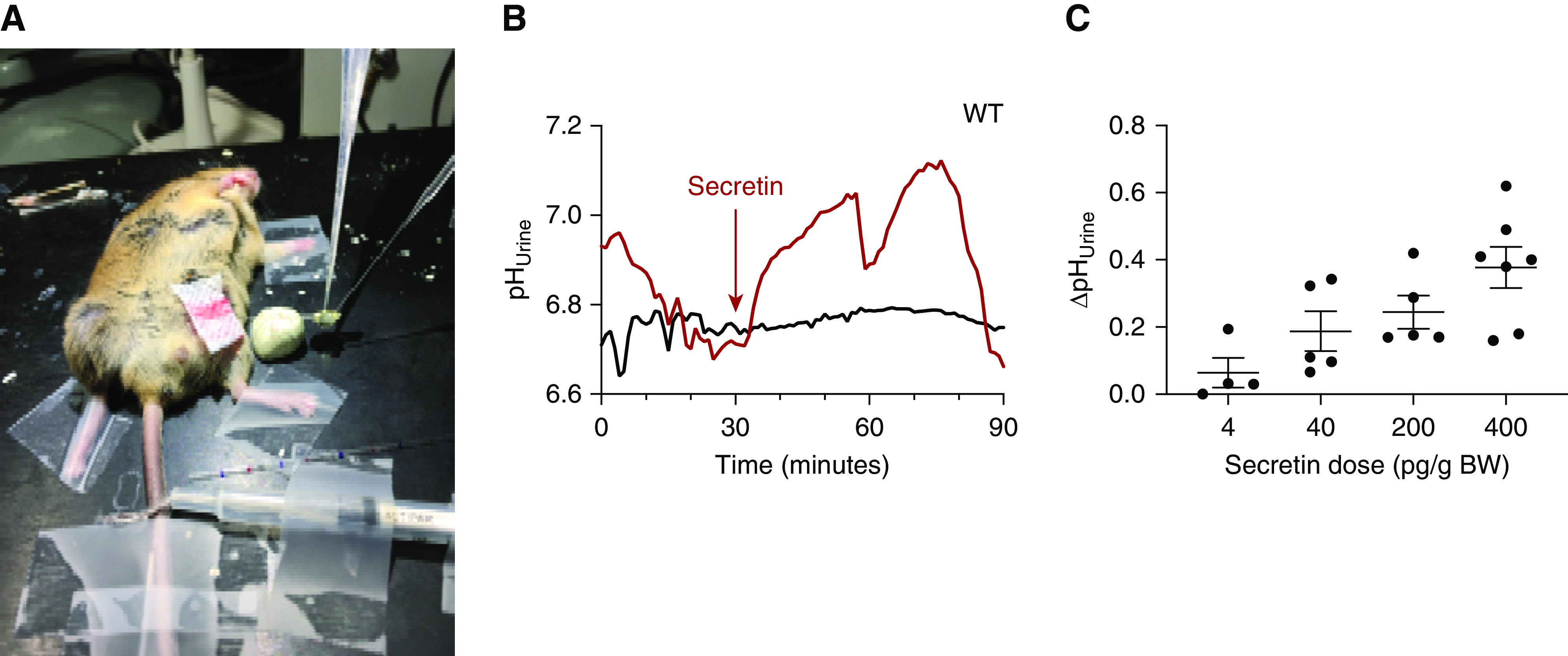 Figure 2.