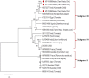 Fig. 3