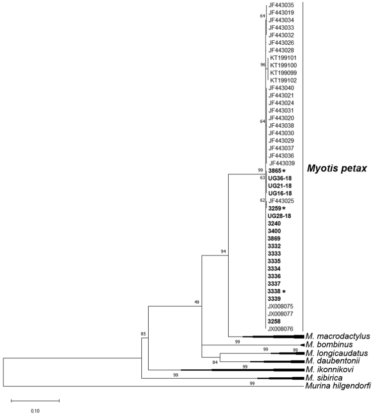 Figure 1.