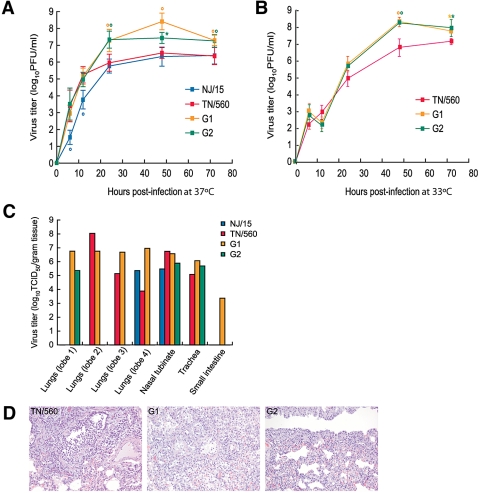 FIG 2 