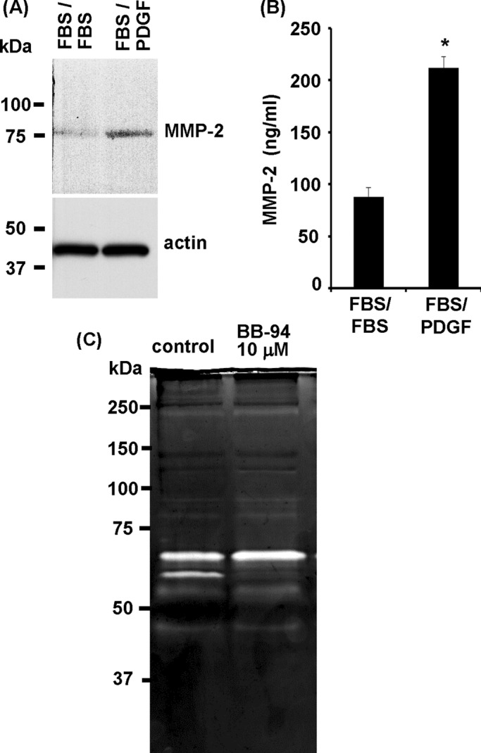 FIGURE 6: