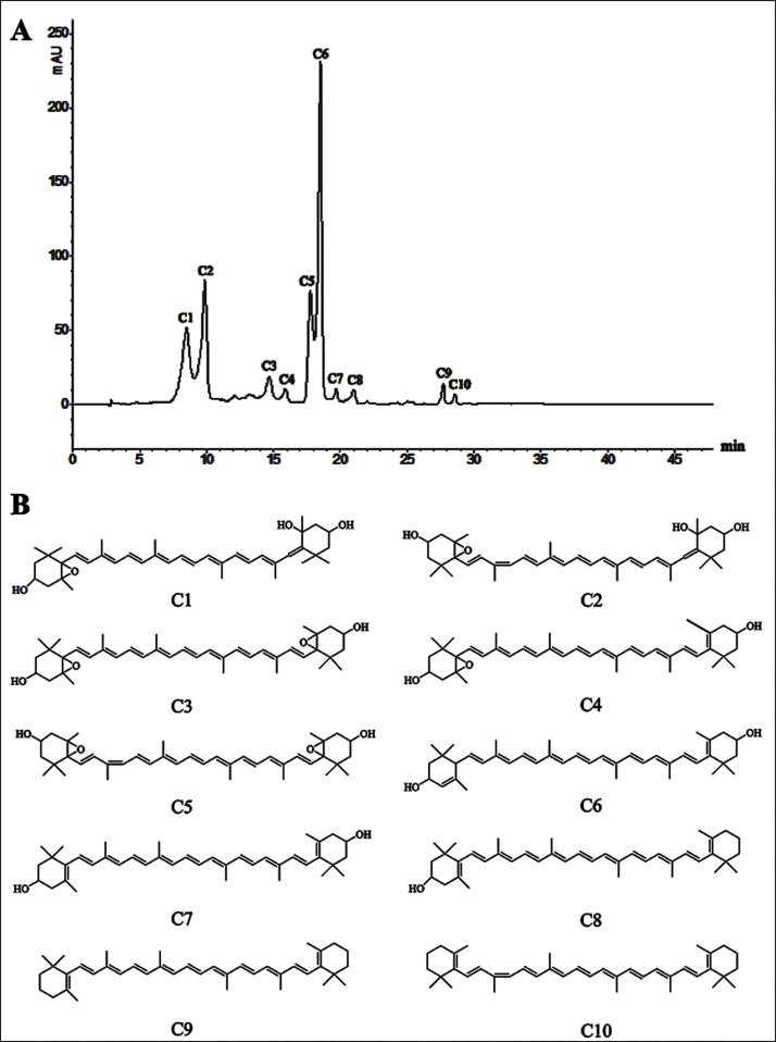 Fig 3