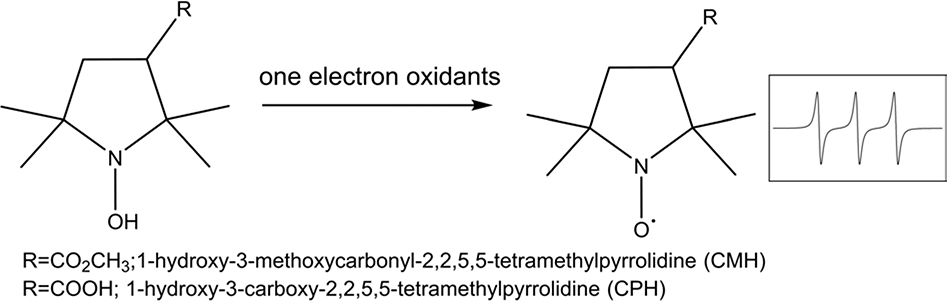 Scheme 2.