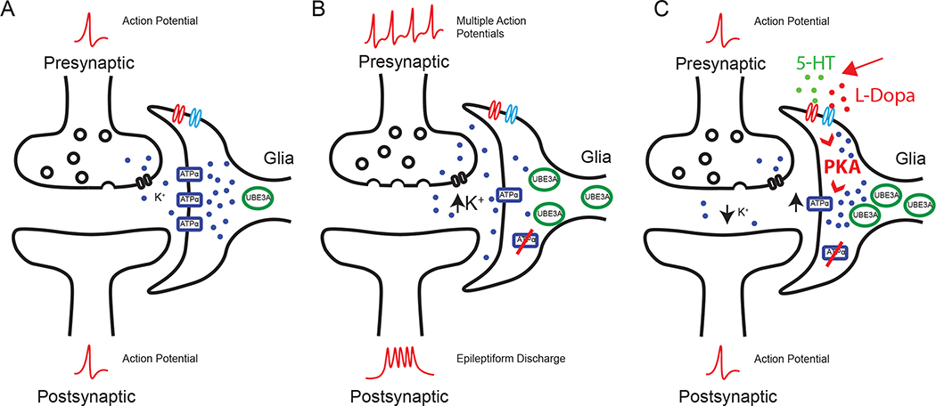 Figure 6.