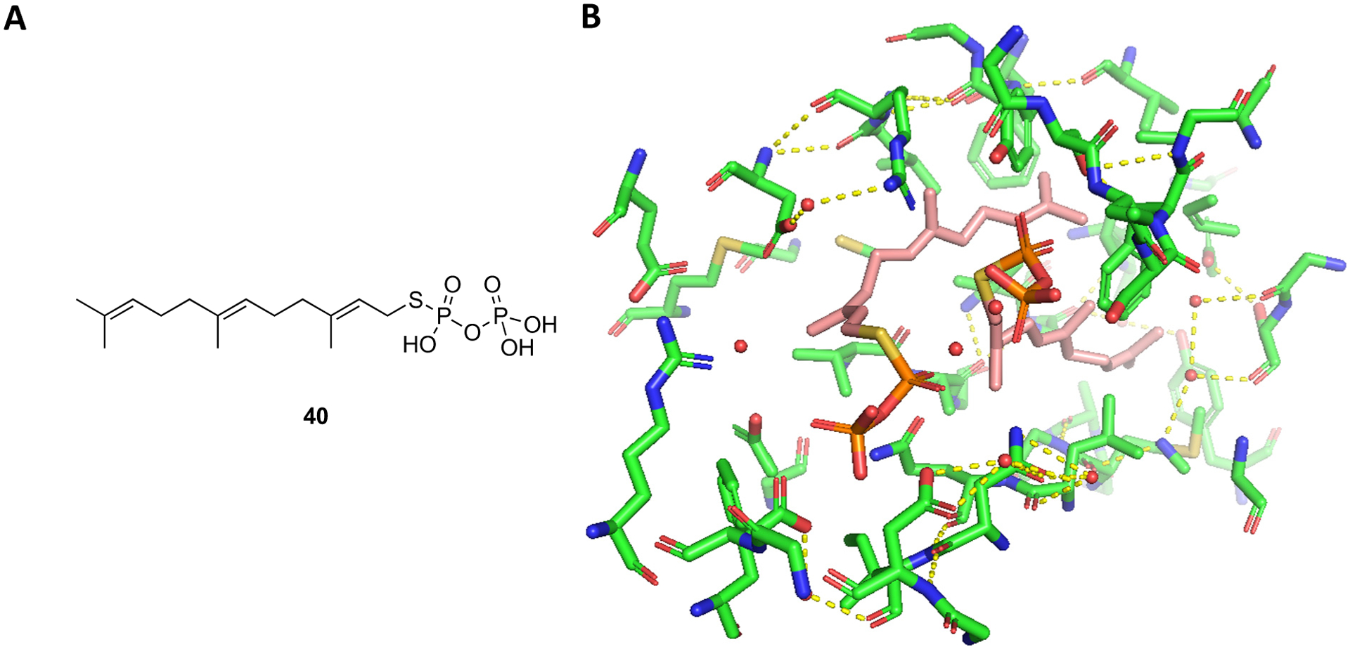 Fig. 11.