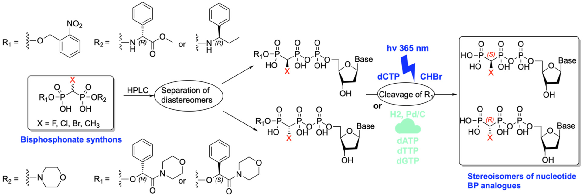 Scheme 6.