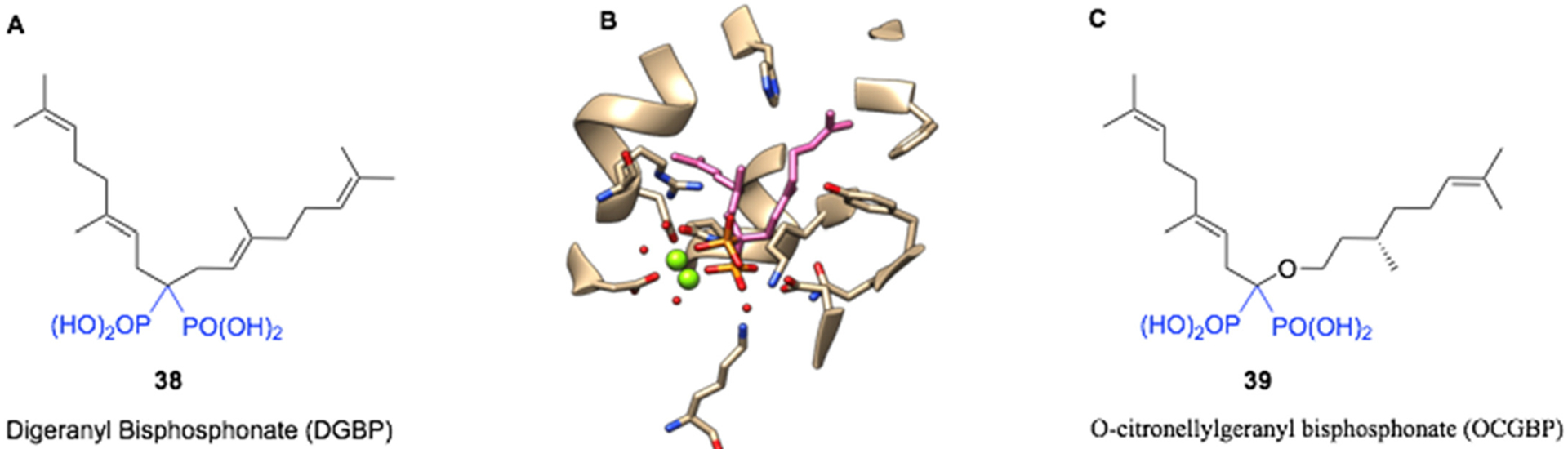 Fig. 10.