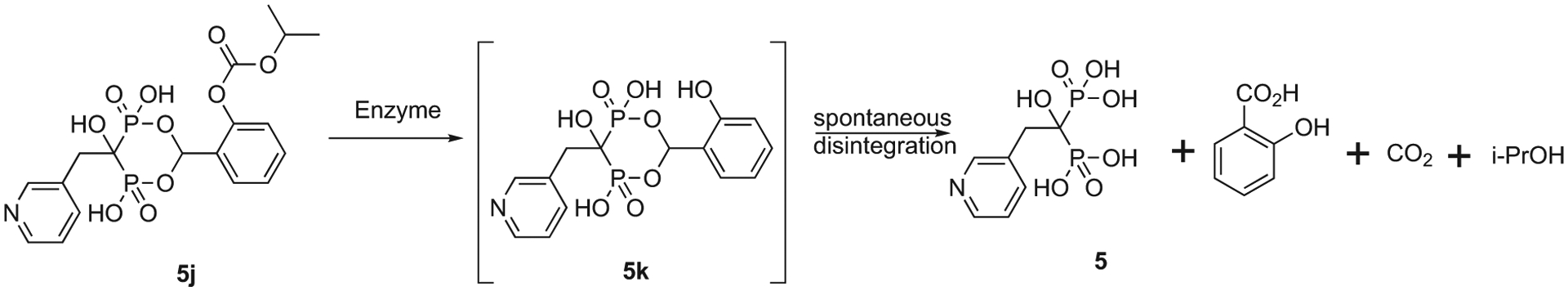 Scheme 8.