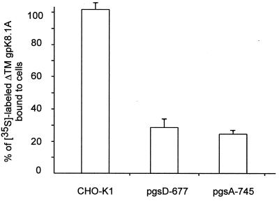 FIG. 6