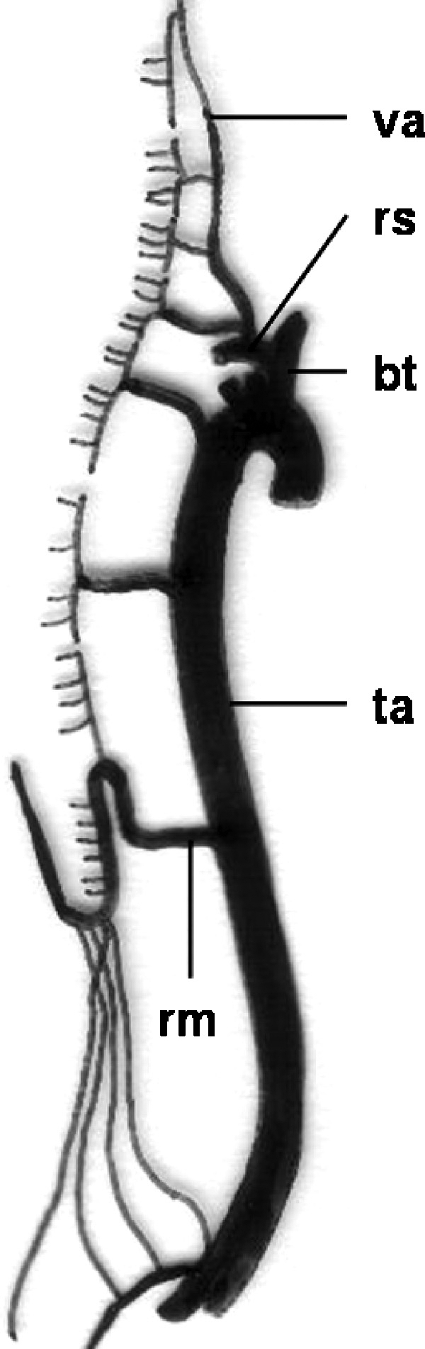 Figure 17