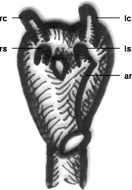 Figure 15