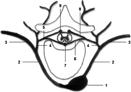 Figure 16