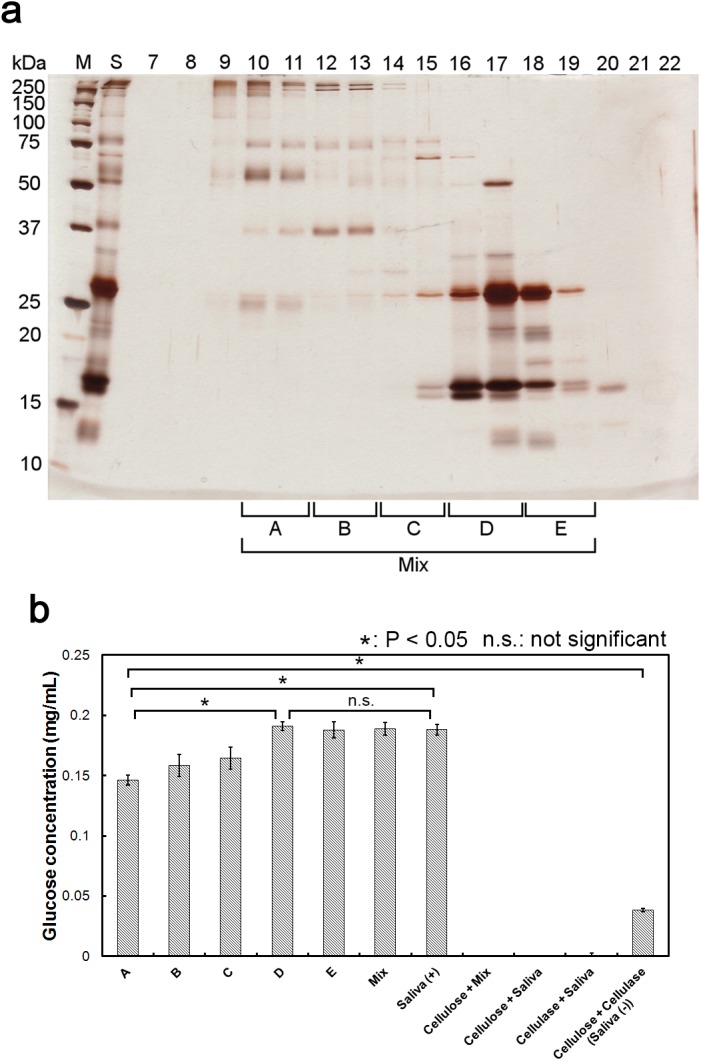 Fig 5