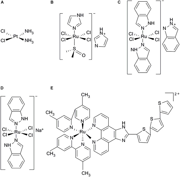 FIGURE 1