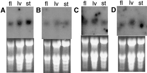 Figure 7.