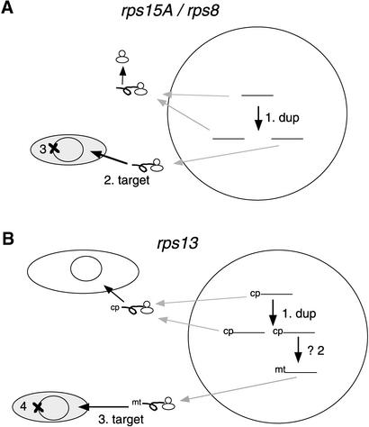 Figure 8.