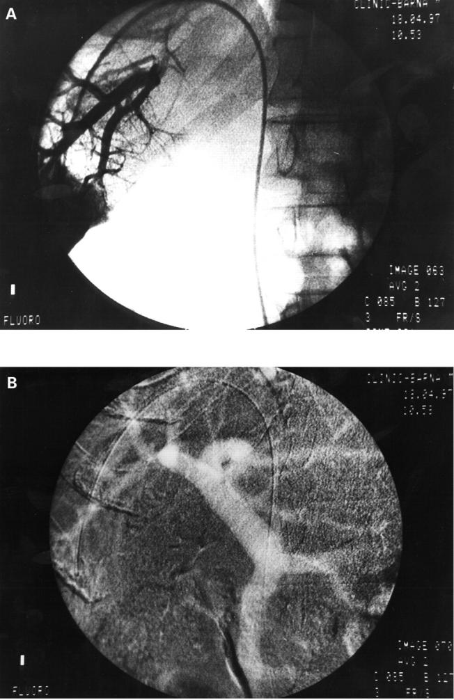 Figure 1  