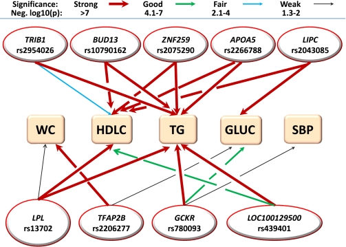 FIG. 3.