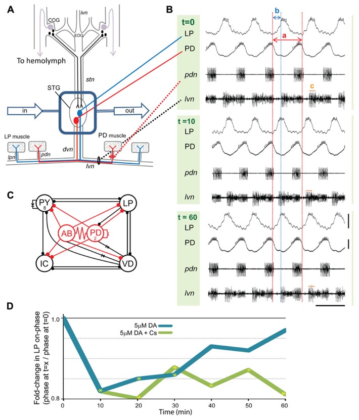 FIGURE 1