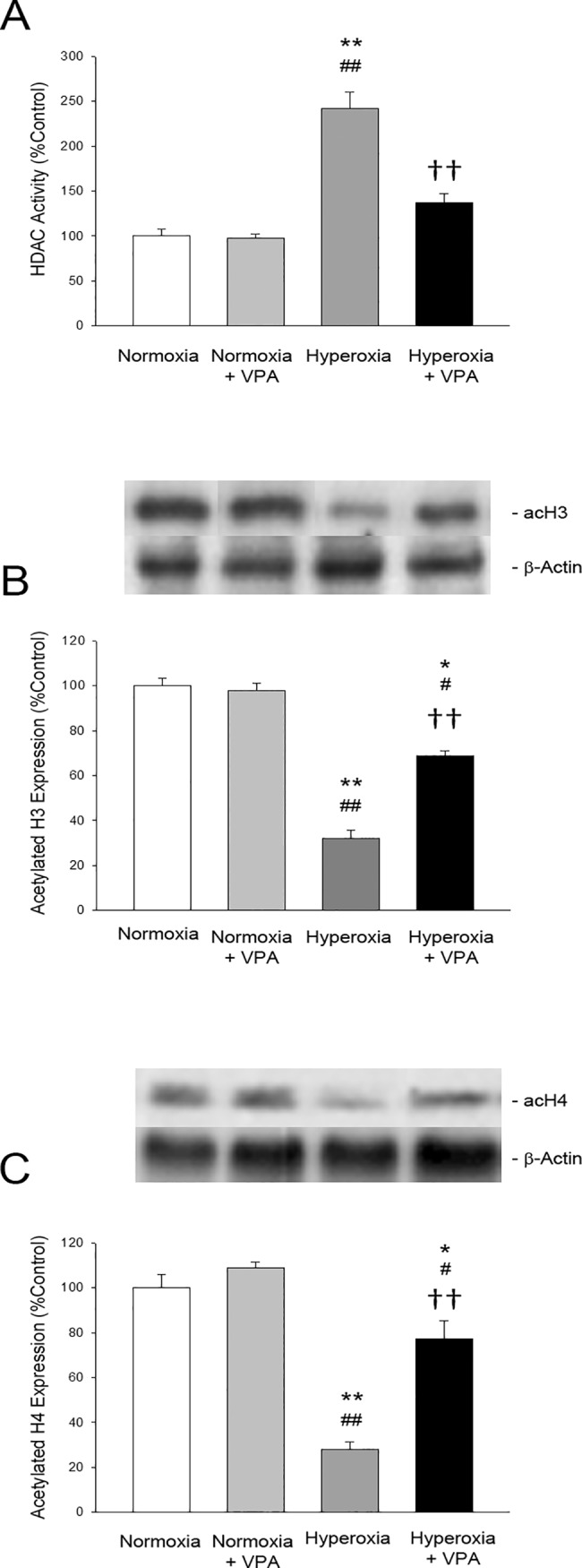 Fig 7