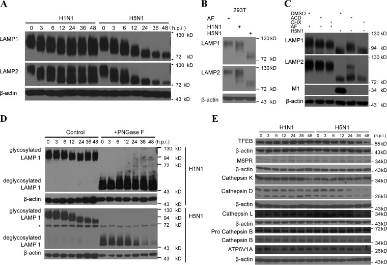 FIG 3