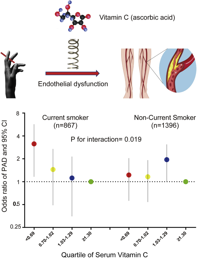 Fig. 2