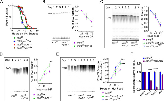 graphic file with name elife-66685-fig2.jpg